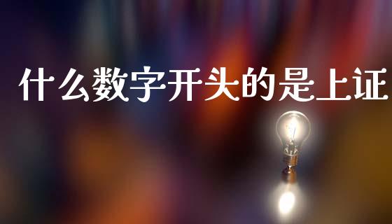 什么数字开头的是上证_https://m.kuaijiepai.net_股票交易_第1张