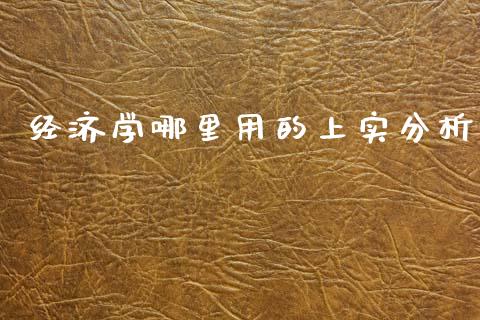 经济学哪里用的上实分析_https://m.kuaijiepai.net_资产证券化_第1张