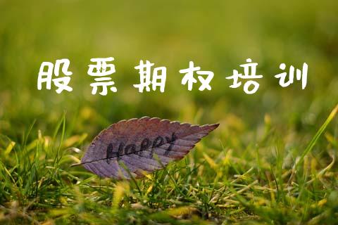 股票期权培训_https://m.kuaijiepai.net_货币基金_第1张