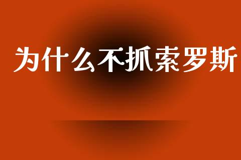 为什么不抓索罗斯_https://m.kuaijiepai.net_股票交易_第1张
