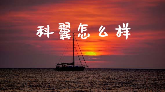 科翼怎么样_https://m.kuaijiepai.net_债券投资_第1张