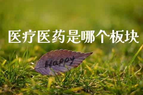 医疗医药是哪个板块_https://m.kuaijiepai.net_债券投资_第1张