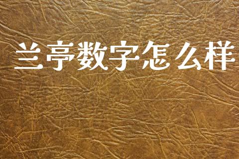 兰亭数字怎么样_https://m.kuaijiepai.net_货币基金_第1张