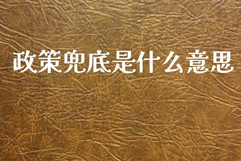 政策兜底是什么意思_https://m.kuaijiepai.net_债券投资_第1张