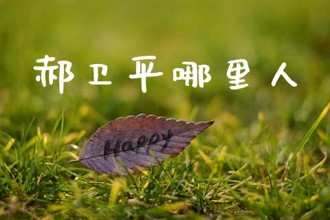 郝卫平哪里人_https://m.kuaijiepai.net_债券投资_第1张