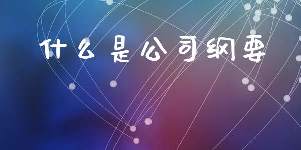 什么是公司纲要_https://m.kuaijiepai.net_资产证券化_第1张