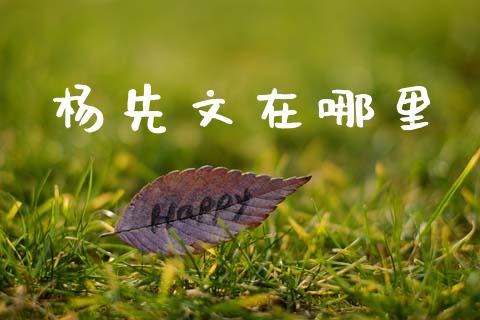 杨先文在哪里_https://m.kuaijiepai.net_货币基金_第1张