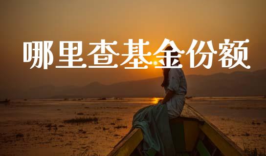 哪里查基金份额_https://m.kuaijiepai.net_债券投资_第1张