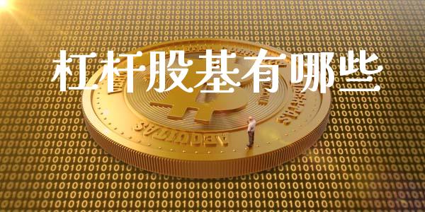 杠杆股基有哪些_https://m.kuaijiepai.net_资产证券化_第1张