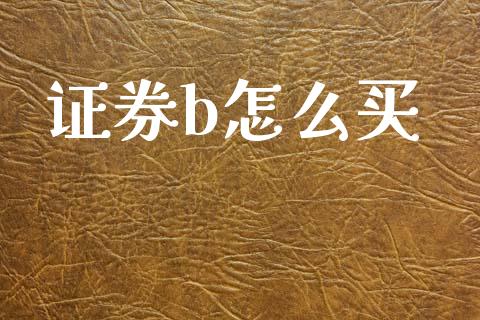 证券b怎么买_https://m.kuaijiepai.net_货币基金_第1张