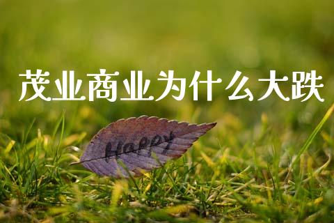 茂业商业为什么大跌_https://m.kuaijiepai.net_债券投资_第1张