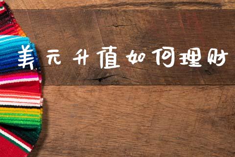 美元升值如何理财_https://m.kuaijiepai.net_资产证券化_第1张