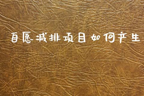 自愿减排项目如何产生_https://m.kuaijiepai.net_股票交易_第1张