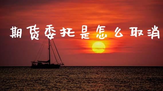 期货委托是怎么取消_债券投资_第1张_货币基金_债券投资_股票交易_资产证券化 期货委托是怎么取消_https://m.kuaijiepai.net_债券投资_第1张