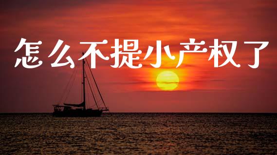 怎么不提小产权了_https://m.kuaijiepai.net_货币基金_第1张