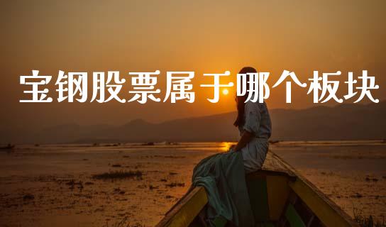宝钢股票属于哪个板块_https://m.kuaijiepai.net_资产证券化_第1张