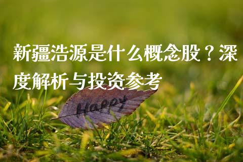 新疆浩源是什么概念股？深度解析与投资参考_https://m.kuaijiepai.net_债券投资_第1张