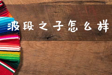 波段之子怎么样_https://m.kuaijiepai.net_资产证券化_第1张