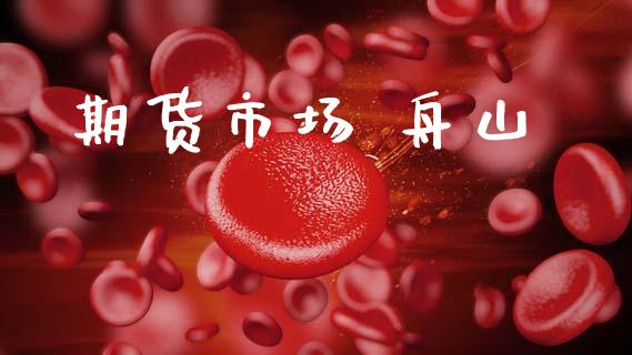 期货市场 舟山_https://m.kuaijiepai.net_货币基金_第1张