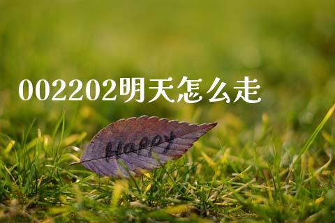 002202明天怎么走_https://m.kuaijiepai.net_货币基金_第1张