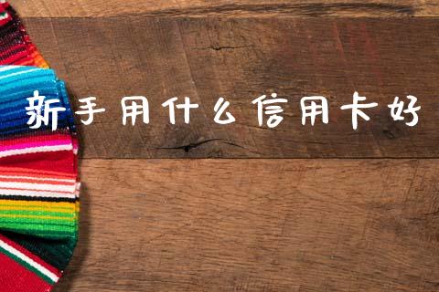 新手用什么信用卡好_https://m.kuaijiepai.net_货币基金_第1张