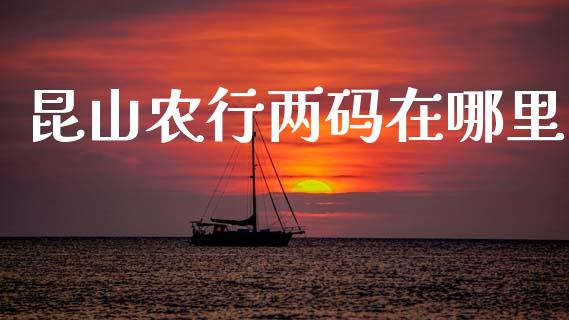 昆山农行两码在哪里_https://m.kuaijiepai.net_资产证券化_第1张