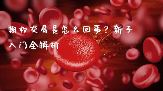 期权交易是怎么回事?新手入门全解析_资产证券化_第1张_货币基金_债券投资_股票交易_资产证券化 期权交易是怎么回事?新手入门全解析_https://m.kuaijiepai.net_资产证券化_第1张