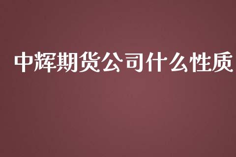 中辉期货公司什么性质_https://m.kuaijiepai.net_货币基金_第1张