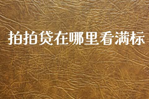 拍拍贷在哪里看满标_https://m.kuaijiepai.net_债券投资_第1张