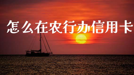 怎么在农行办信用卡_https://m.kuaijiepai.net_股票交易_第1张