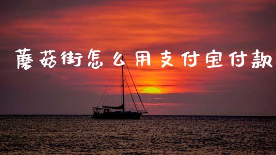 蘑菇街怎么用支付宝付款_https://m.kuaijiepai.net_债券投资_第1张