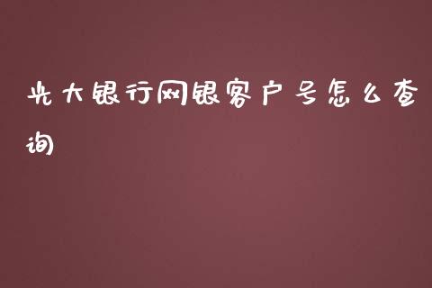 光大银行网银客户号怎么查询_https://m.kuaijiepai.net_债券投资_第1张
