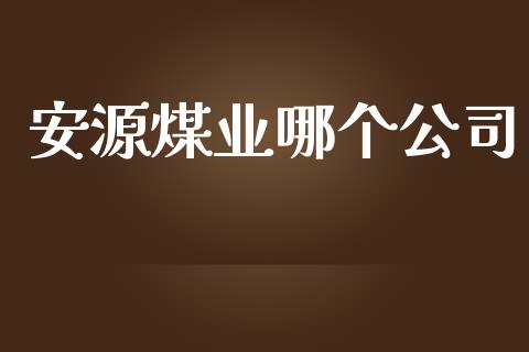 安源煤业哪个公司_https://m.kuaijiepai.net_货币基金_第1张