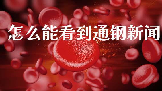怎么能看到通钢新闻_https://m.kuaijiepai.net_股票交易_第1张