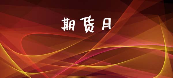 期货月_https://m.kuaijiepai.net_资产证券化_第1张