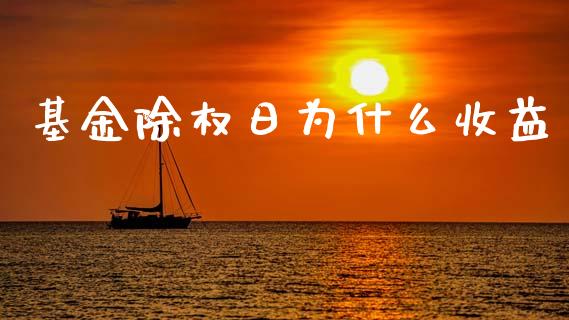 基金除权日为什么收益_https://m.kuaijiepai.net_股票交易_第1张