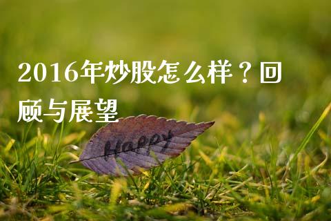 2016年炒股怎么样？回顾与展望_https://m.kuaijiepai.net_货币基金_第1张