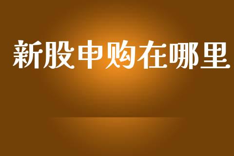 新股申购在哪里_https://m.kuaijiepai.net_股票交易_第1张