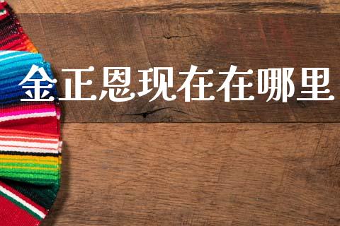 金正恩现在在哪里_https://m.kuaijiepai.net_债券投资_第1张