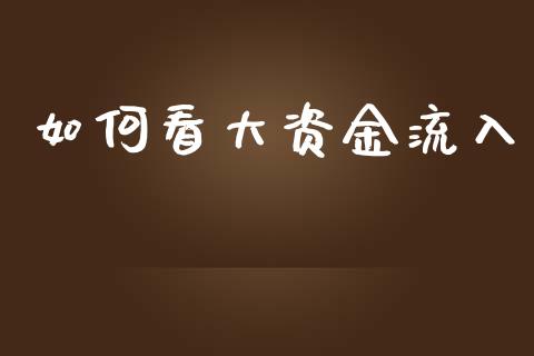 如何看大资金流入_https://m.kuaijiepai.net_债券投资_第1张