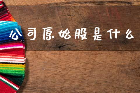 公司原始股是什么_https://m.kuaijiepai.net_股票交易_第1张