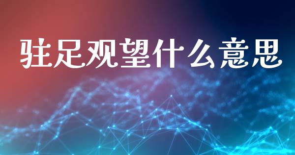 驻足观望什么意思_https://m.kuaijiepai.net_债券投资_第1张