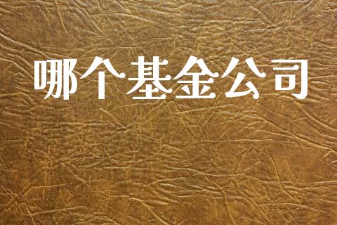 哪个基金公司_https://m.kuaijiepai.net_货币基金_第1张
