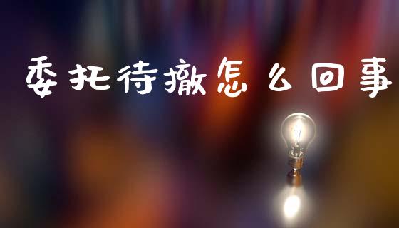 委托待撤怎么回事_货币基金_第1张_货币基金_债券投资_股票交易_资产证券化 委托待撤怎么回事_https://m.kuaijiepai.net_货币基金_第1张