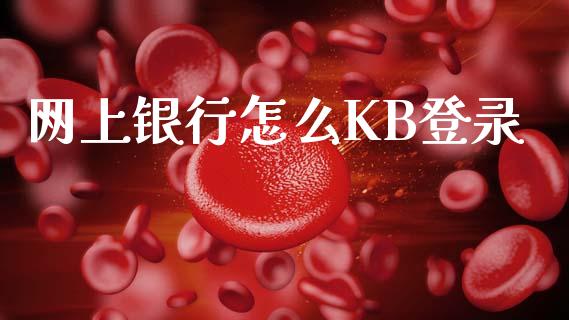 网上银行怎么KB登录_https://m.kuaijiepai.net_资产证券化_第1张