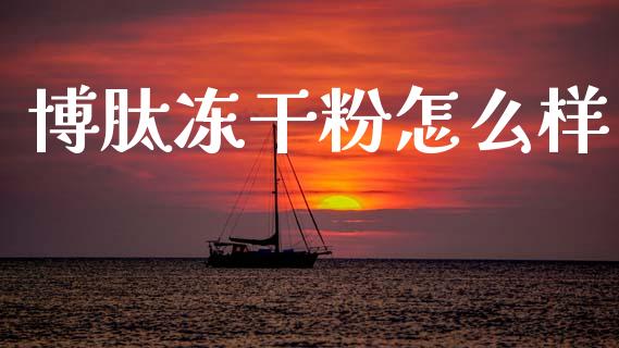 博肽冻干粉怎么样_https://m.kuaijiepai.net_货币基金_第1张