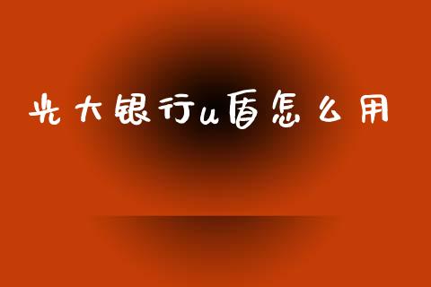 光大银行u盾怎么用_https://m.kuaijiepai.net_资产证券化_第1张