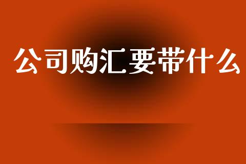 公司购汇要带什么_https://m.kuaijiepai.net_货币基金_第1张