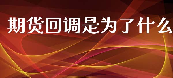 期货回调是为了什么_债券投资_第1张_货币基金_债券投资_股票交易_资产证券化 期货回调是为了什么_https://m.kuaijiepai.net_债券投资_第1张