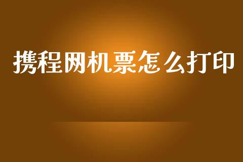 携程网机票怎么打印_https://m.kuaijiepai.net_资产证券化_第1张